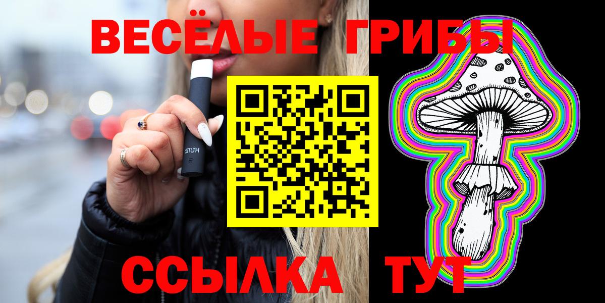 Псилоцибиновые грибы MAGIC MUSHROOMS  Псилоцибиновые грибы GOLDEN TEACHER  Саров  Вход с VPN 