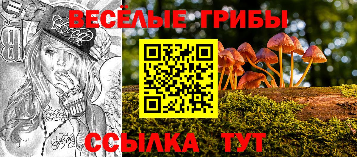 Псилоцибиновые грибы GOLDEN TEACHER Саров